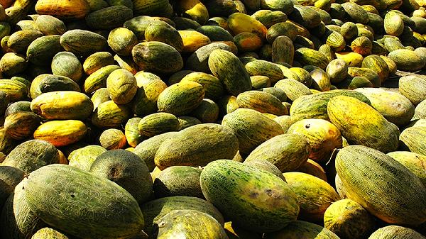 哈密瓜保存方法及時間