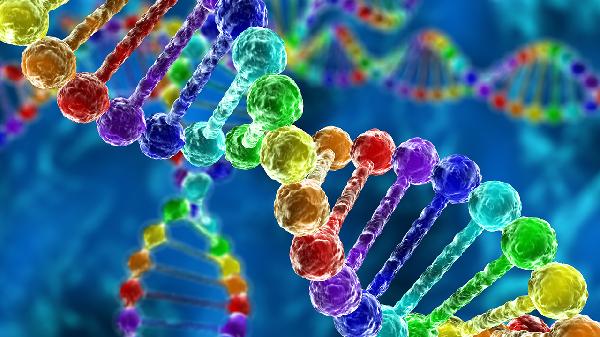 同源染色体携带的遗传信息一定相同吗