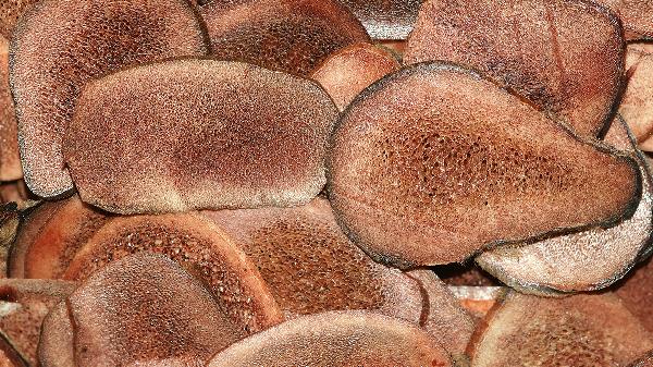 鹿茸泡酒配伍什么藥材最好