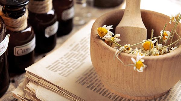 菊花十月份能移栽嗎