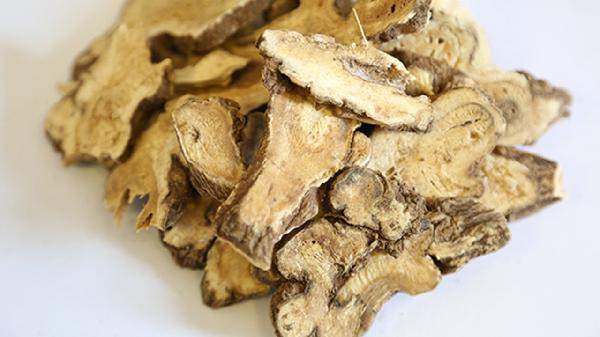 生白術熬水喝有啥不良反應