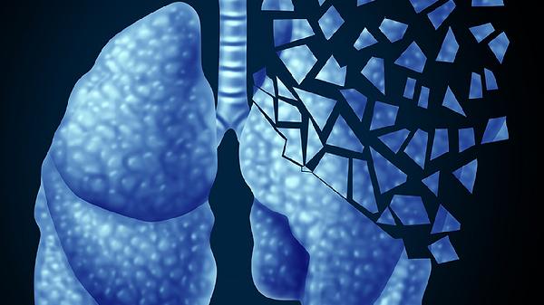 兩腮對應的是哪個內(nèi)臟