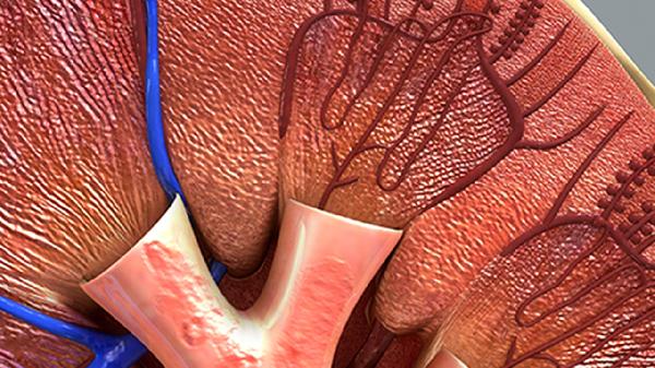 白塞病是血管炎的一種嗎