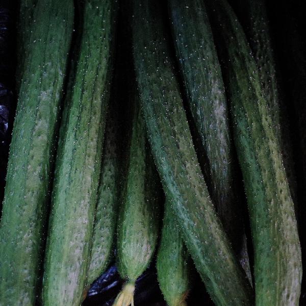 飯菜趁熱放進(jìn)冰箱還是放涼