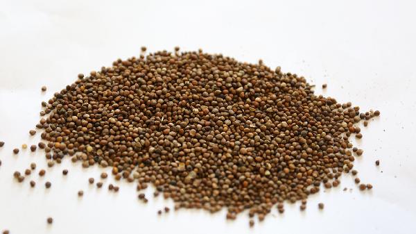 喝完中藥多久能吃水果