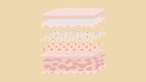 一支玻尿酸多少钱