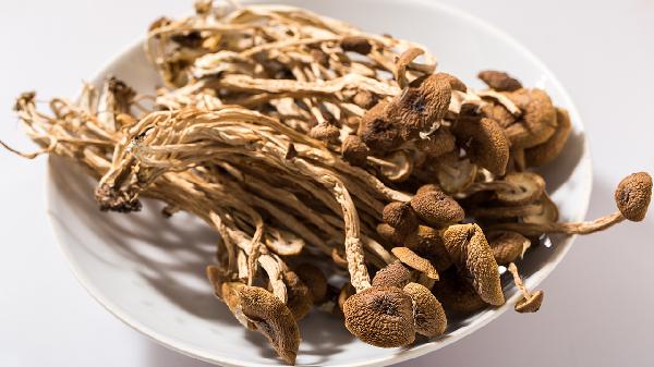 茶樹(shù)菇姬松茸燉雞湯