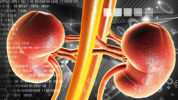 腎病綜合征肚子腫大的原因