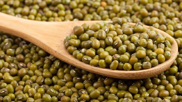 挑選優(yōu)質(zhì)綠豆的小妙招有哪些呢