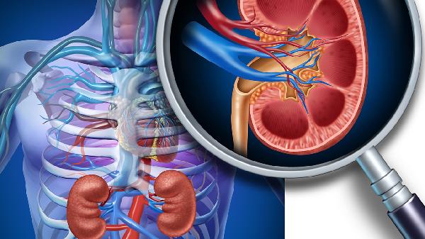 腎衰竭復發(fā)先兆是什么