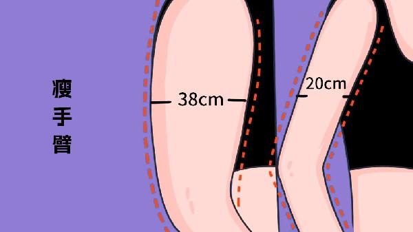 瘦手臂最快最有效的方法運動