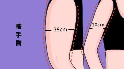 瘦手臂最快最有效的方法运动
