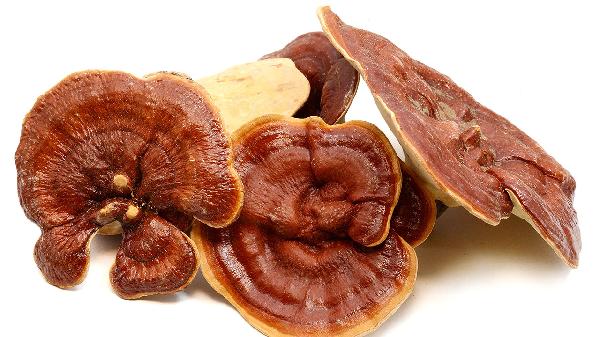 干靈芝可以泡酒嗎 靈芝能否泡酒喝