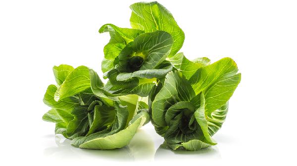 小油菜怎樣保存冬天吃