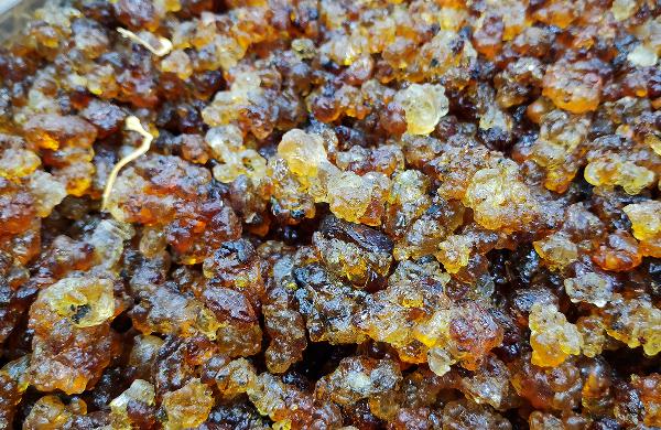 紫菜需要提前浸泡嗎