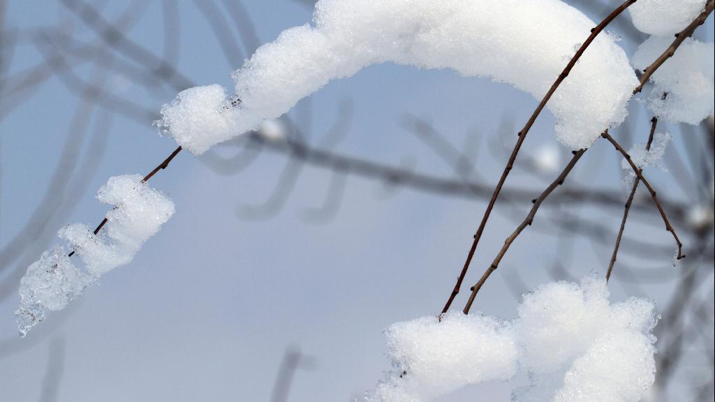 {哈尔滨暴雪过后又来冻雨辽宁多地积雪厚度已超过35厘米}