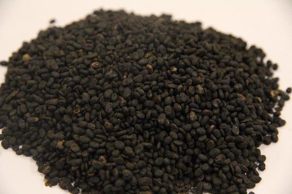 中醫(yī)有減肥的中藥嗎