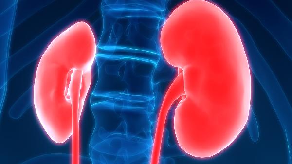 金匱腎氣丸的副作用有哪些