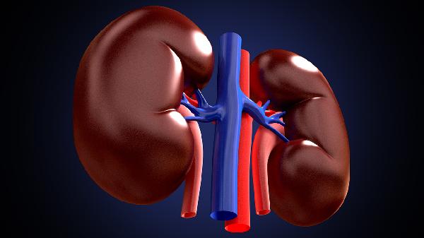 金匱腎氣丸怎么吃