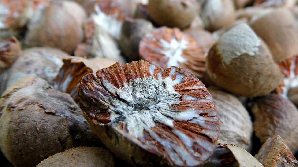 胃寒吃什么水果最好