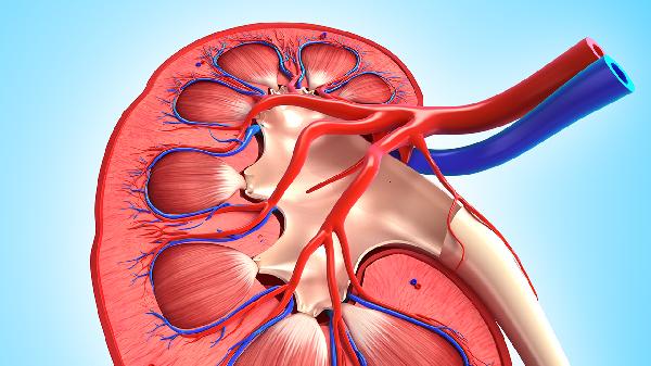 金匱腎氣丸能吃么
