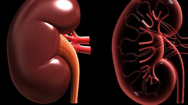 腎功能不全包括哪些疾病癥狀
