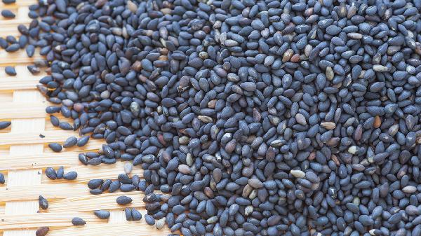 芝麻炒糊了苦了怎么辦