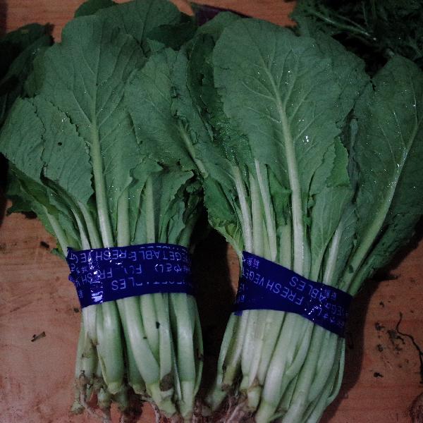 有機蔬菜怎么除蟲