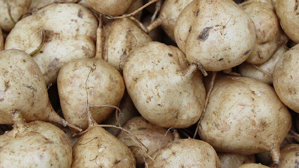 切開的山藥怎么保存過夜