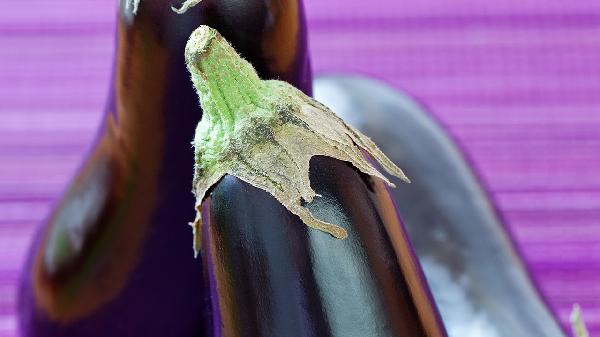 燒茄子省油小妙招竅門是什么