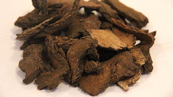 為何國(guó)家叫停吃肉蓯蓉