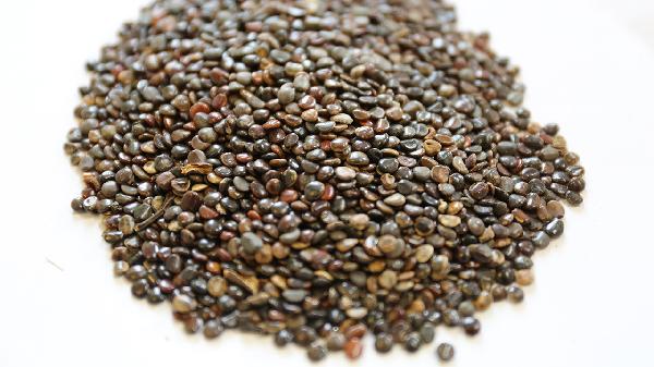 安神補(bǔ)腦液是中藥嗎