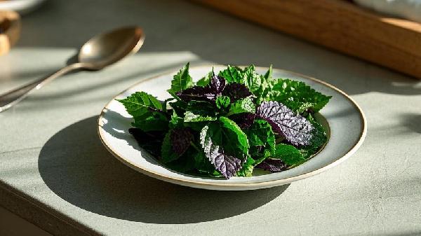 紫蘇葉治療流感嗎