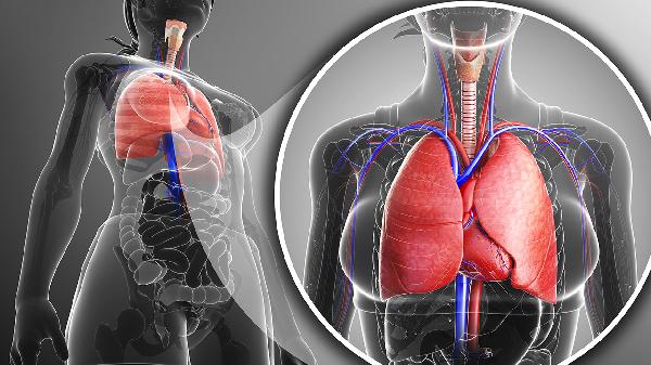 什么是左上肺高密度影