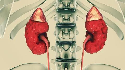 慢性腎炎的癥狀特征是什么