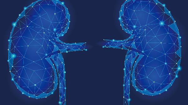 慢性腎衰竭的原因和誘因