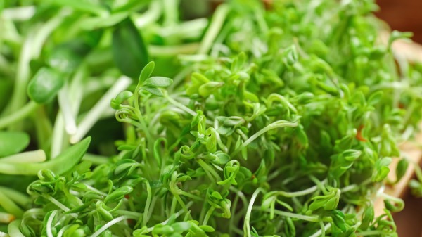 菜市场“最脏”的3种菜天天端上桌 这3种肉丸安全风险较高