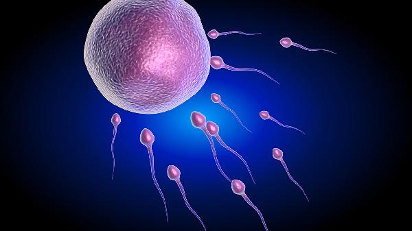 人工授精治療周期的控制會(huì)影響人工授精的成功率