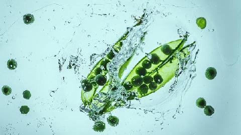 男性疾病不育治療功能可用于飲食療法
