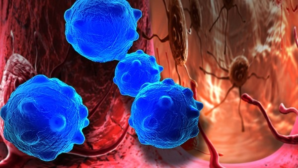 新冠igm是否一直呈阳性?新冠疫苗什么时候产生抗体?