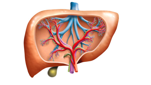 肝硬化会传染吗？肝硬化是否传染取决于病因