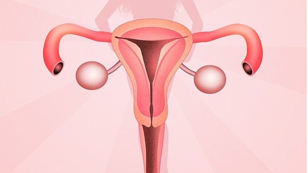 子宫肌瘤大多是良性的吗?哪些中药方剂可以治疗子宫肌瘤?