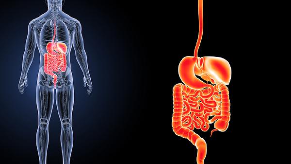 肚子發(fā)出這5種聲音，可能是身體在求救，一定要注意！