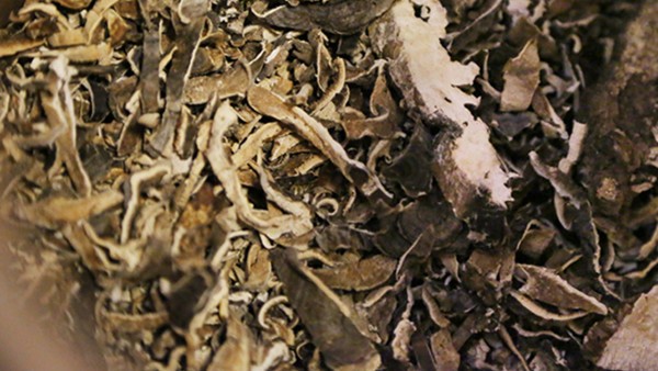 苯磺酸左旋氨氯地平片影响其他药物作用吗？苯磺酸左旋氨氯地平片吃多少好