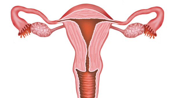 女性宫颈糜烂要做的四个检查 得了宫颈糜烂做哪些检查好