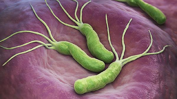 細菌性痢疾的飲食