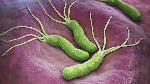 細(xì)菌性痢疾的飲食