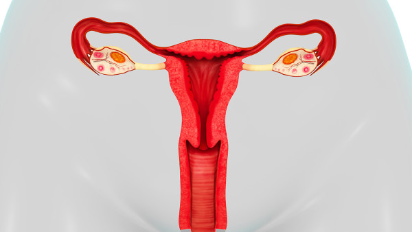 女性轻度宫颈糜烂自愈方法 女性轻度宫颈糜烂怎么护理自