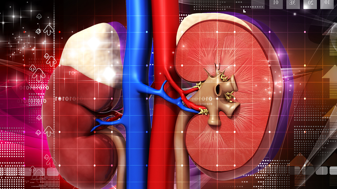 慢性肾病通过尿检能检测出来吗