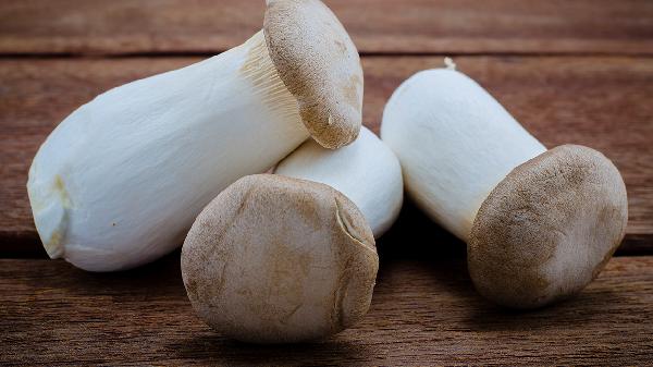 杏鲍菇的家常做法